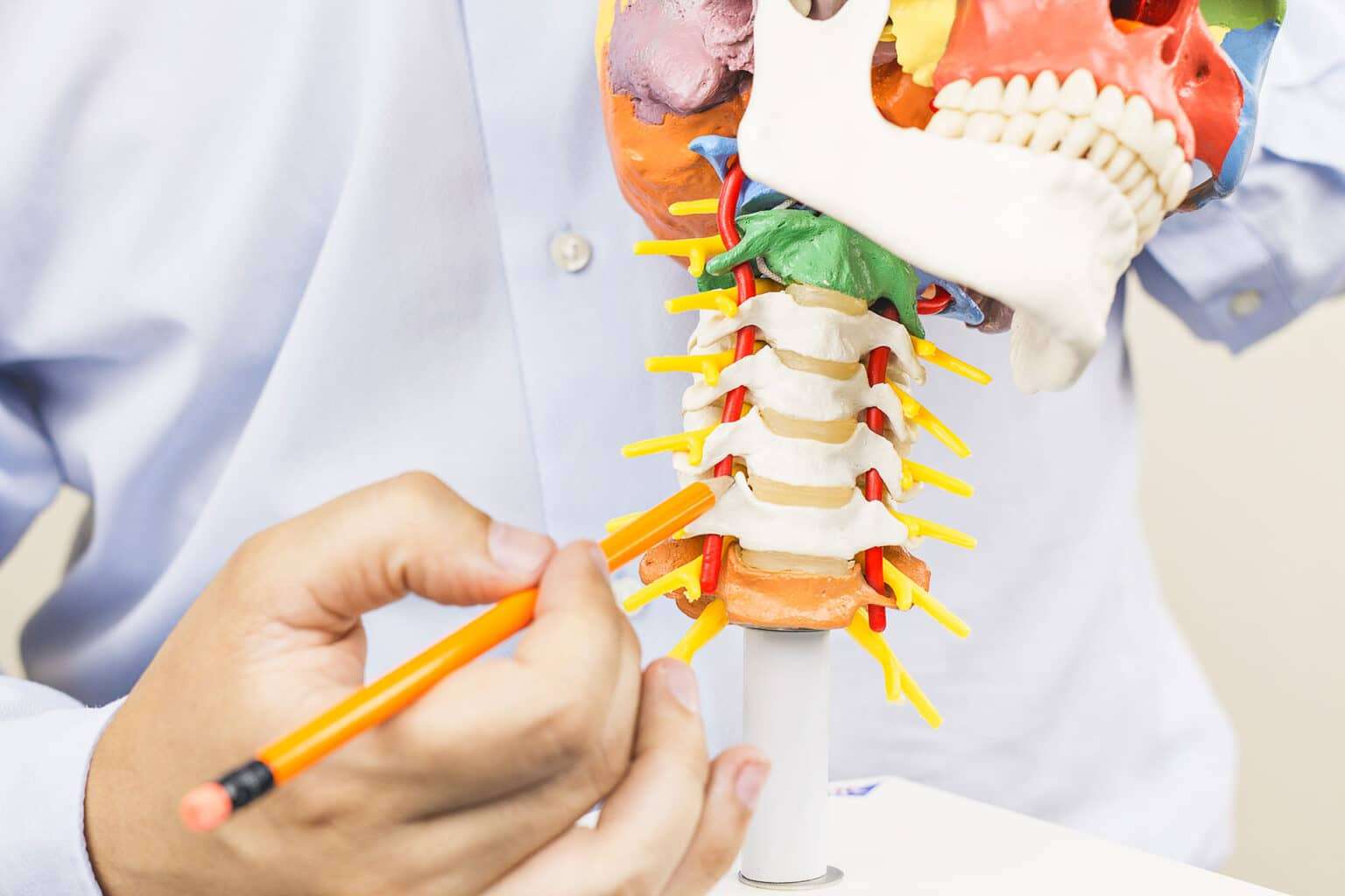 corsi ecm per fisioterapisti terapia manuale e neurodinamica