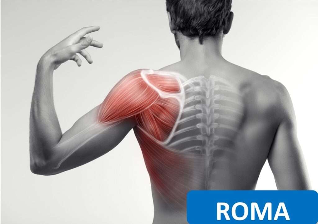 corsi ecm per fisioterapisti la spalla valutazione clinica e trattamento riabilitativo