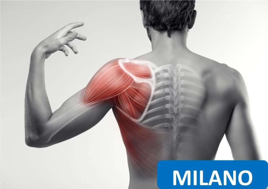 La spalla valutazione clinica e trattamento riabilitativo