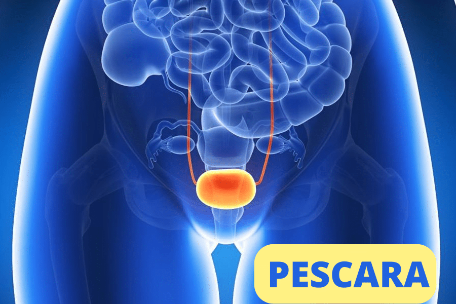 Riabilitazione del pavimento pelvico